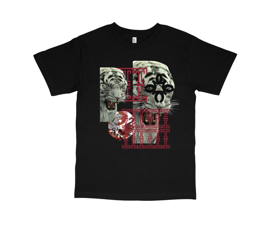 OVERSIZED T SHIRT DRESS 5 (pre order)